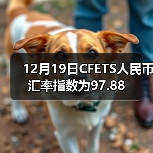 12月19日CFETS人民币汇率指数为97.88（图2）