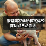 服务国家战略和实体经济功能日益强大（图4）