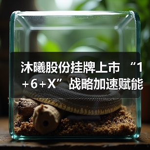 沐曦股份挂牌上市 “1+6+X”战略加速