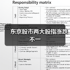 东京股市两大股指涨跌不一（图3）