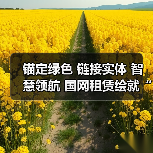 锚定绿色 链接实体 智慧领航 国网租赁绘