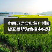 中国证监会批复广州期货交易所为合格中央对手方（图3）
