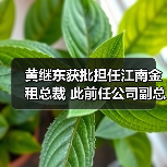 黄继东获批担任江南金租总裁 此前任公司副总裁（图4）