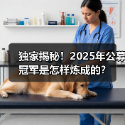 独家揭秘！2025年公募冠军是怎样炼成的