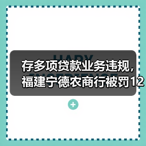 存多项贷款业务违规，福建宁德农商行被罚125万元（图2）