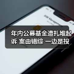年内公募基金遭扎堆起诉 案由错综 一边是投资者穿透追责 一边是离职员工对簿公堂（图4）