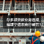 存多项贷款业务违规，福建宁德农商行被罚125万元（图4）