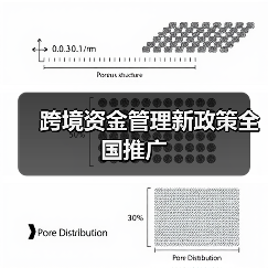 跨境资金管理新政策全国推广（图3）