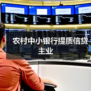农村中小银行提质信贷主业(图3) 农村中小银行提质信贷主业(图3)