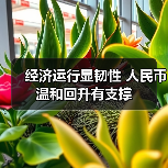 经济运行显韧性 人民币温和回升有支撑（图2）