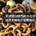 天津银行被罚款35万元 违反金融统计管理规定（图3）