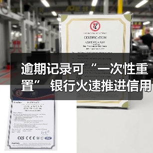 逾期记录可“一次性重置” 银行火速推进信用修复政策实施（图2）