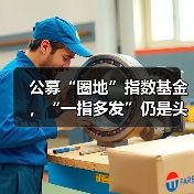 公募“圈地”指数基金，“一指多发”仍是头部游戏（图4）