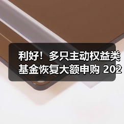 利好！多只主动权益类基金恢复大额申购 2026年A股整体有望继续走强（图4）