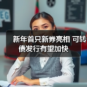 新年首只新券亮相 可转债发行有望加快（图3）