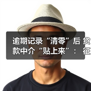 逾期记录“清零”后 贷款中介“贴上来”： 征信修复催生新一轮营销热（图4）