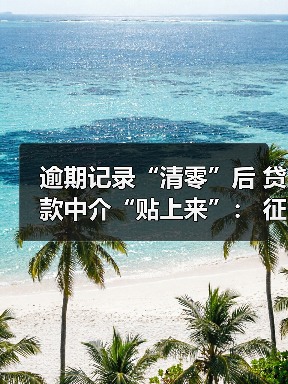 逾期记录“清零”后 贷款中介“贴上来”： 征信修复催生新一轮营销热（图3）