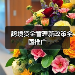 跨境资金管理新政策全国推广