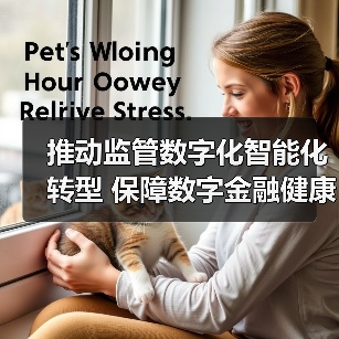 推动监管数字化智能化转型 保障数字金融健康发展（图4）