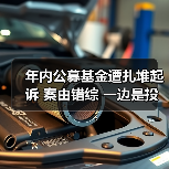 年内公募基金遭扎堆起诉 案由错综 一边是