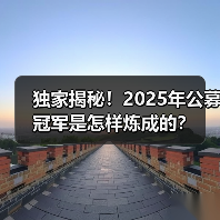 独家揭秘！2025年公募冠军是怎样炼成的？（图2）