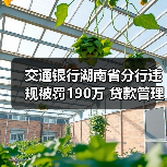 交通银行湖南省分行违规被罚190万 贷款管理不到位等(图4) 交通银行湖南省分行违规被罚190万 贷款管理不到位等(图4)