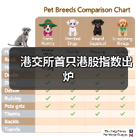 港交所首只港股指数出炉（图3）