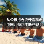 从公募持仓变迁看科创中国：盈利不断兑现 科创板块成新“核心资产”（图4）