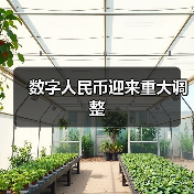 数字人民币迎来重大调整