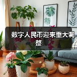 数字人民币迎来重大调整（图2）