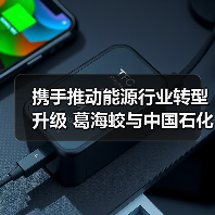 携手推动能源行业转型升级 葛海蛟与中国石