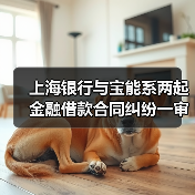 上海银行与宝能系两起金融借款合同纠纷一审判决出炉，宝能系被判偿还本金近74亿元等（图3）