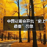 中国证监会开出“史上最重”罚单（图2）