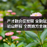 产才融合促发展 金融赋能启新程 全国地方