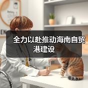 全力以赴推动海南自贸港建设（图2）