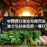 中国银行落地海南自贸港全岛封关后第一笔EF账户项下跨二线异名划转业务（图2）