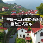 中债—工行熊猫债系列指数正式发布（图4）