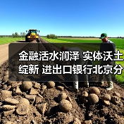 金融活水润泽 实体沃土绽新 进出口银行北