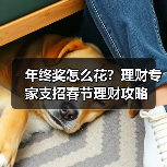 年终奖怎么花？理财专家支招春节理财攻略