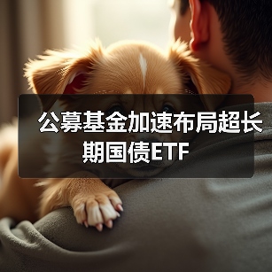 公募基金加速布局超长期国债ETF（图3）