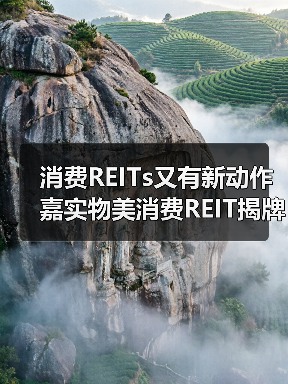 消费REITs又有新动作 嘉实物美消费REIT揭牌仪式成功举行（图3）