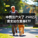 中国资产火了 258亿元资金加仓宽基ETF（图3）
