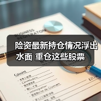 险资最新持仓情况浮出水面 重仓这些股票（图4）