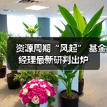 资源周期“风起” 基金经理最新研判出炉（图4）