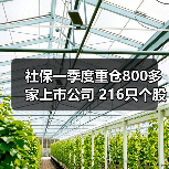 社保一季度重仓800多家上市公司 216只个股获加仓（图3）