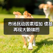 市场扰动因素增加 债基再现大额赎回（图3）