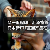 又一里程碑！汇添富首只中新ETF互通产品