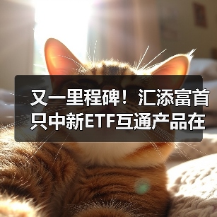 又一里程碑！汇添富首只中新ETF互通产品在新上市，汇添富新加坡子公司开业（图4）