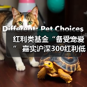 红利类基金“备受宠爱” 嘉实沪深300红利低波动ETF优势显著（图2）