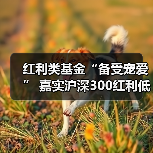 红利类基金“备受宠爱” 嘉实沪深300红